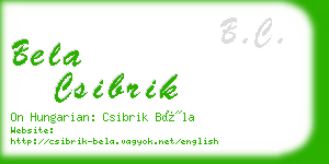 bela csibrik business card